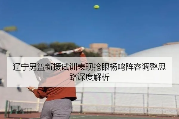 辽宁男篮新援试训表现抢眼杨鸣阵容调整思路深度解析